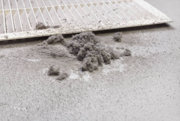 Best Air Duct Cleaning Near Me in Venice, IL