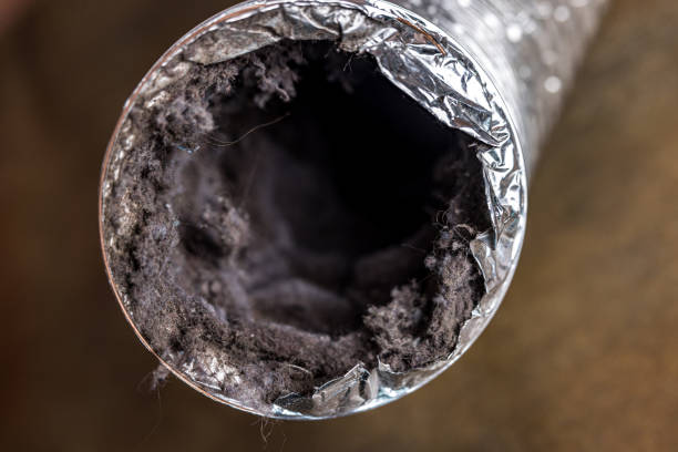 Best Professional Duct Cleaning Services  in Venice, IL