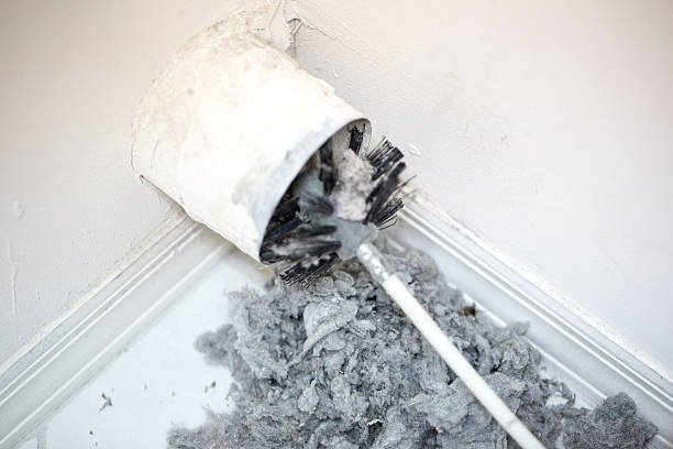 Best Air Duct Mold Removal  in Venice, IL